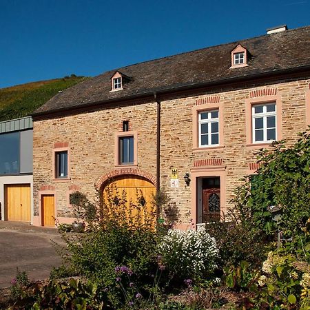 Altes Loerscher Winzerhaus Mehring  Ngoại thất bức ảnh