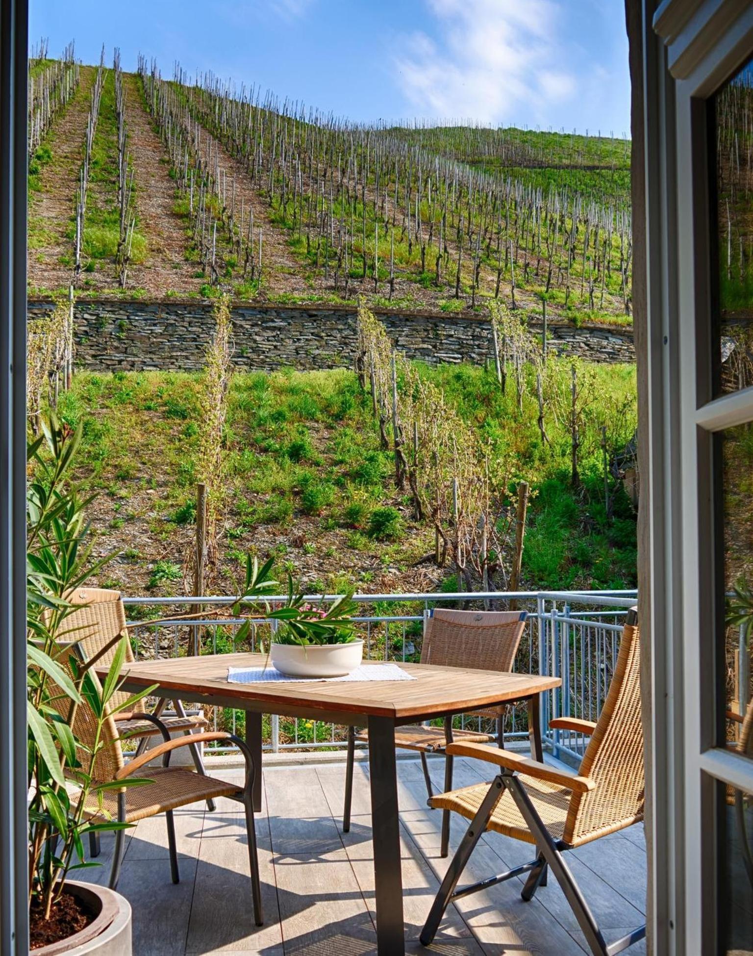 Altes Loerscher Winzerhaus Mehring  Ngoại thất bức ảnh