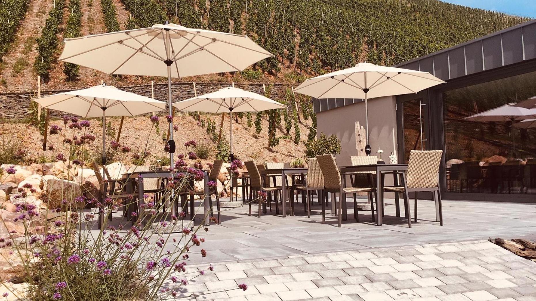 Altes Loerscher Winzerhaus Mehring  Ngoại thất bức ảnh
