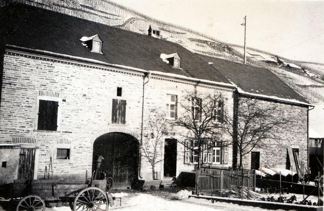 Altes Loerscher Winzerhaus Mehring  Ngoại thất bức ảnh
